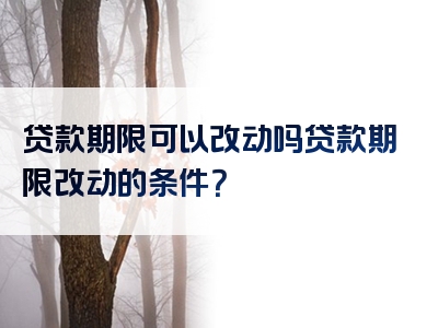 贷款期限可以改动吗贷款期限改动的条件？