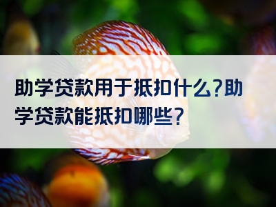 助学贷款用于抵扣什么？助学贷款能抵扣哪些？