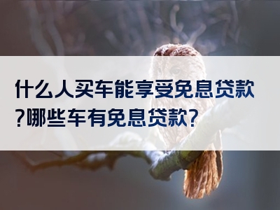 什么人买车能享受免息贷款？哪些车有免息贷款？