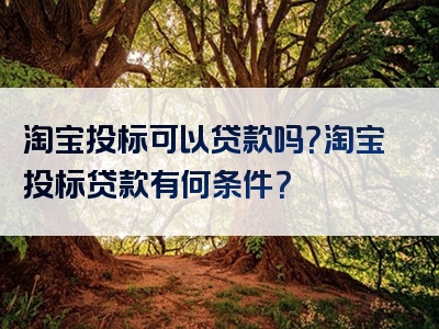 淘宝投标可以贷款吗？淘宝投标贷款有何条件？