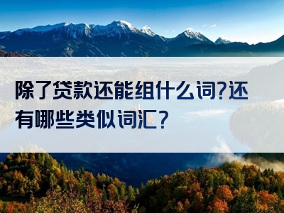 除了贷款还能组什么词？还有哪些类似词汇？