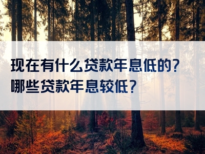 现在有什么贷款年息低的？哪些贷款年息较低？