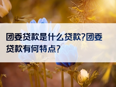 团委贷款是什么贷款？团委贷款有何特点？