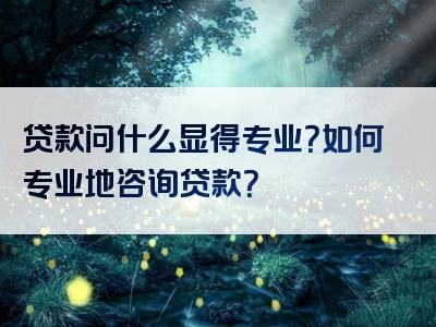 贷款问什么显得专业？如何专业地咨询贷款？