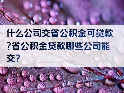 什么公司交省公积金可贷款？省公积金贷款哪些公司能交？