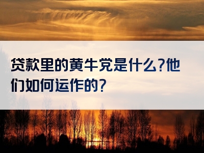 贷款里的黄牛党是什么？他们如何运作的？