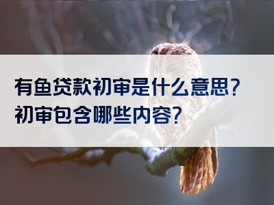 有鱼贷款初审是什么意思？初审包含哪些内容？