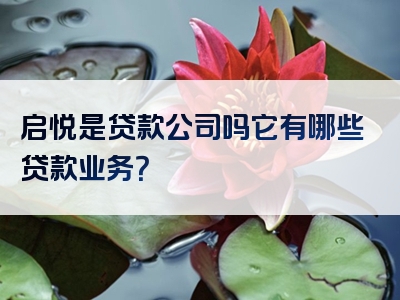 启悦是贷款公司吗它有哪些贷款业务？