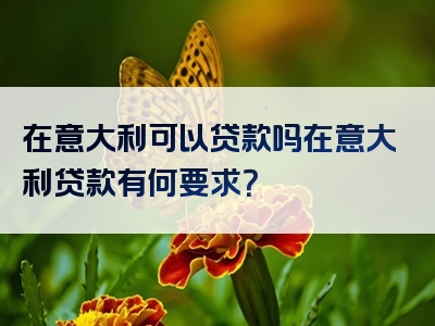 在意大利可以贷款吗在意大利贷款有何要求？