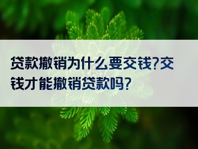 贷款撤销为什么要交钱？交钱才能撤销贷款吗？