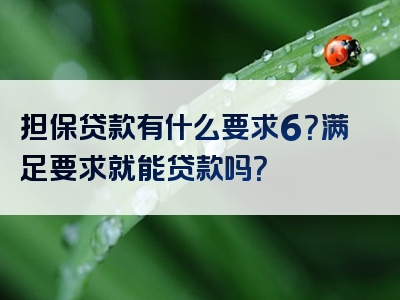 担保贷款有什么要求6？满足要求就能贷款吗？