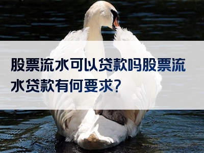 股票流水可以贷款吗股票流水贷款有何要求？