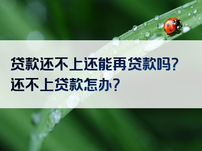 贷款还不上还能再贷款吗？还不上贷款怎办？