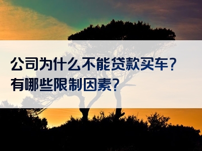 公司为什么不能贷款买车？有哪些限制因素？