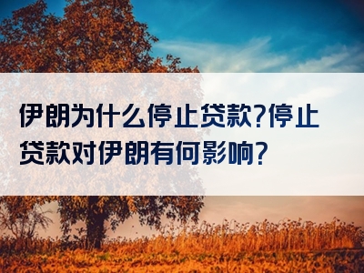 伊朗为什么停止贷款？停止贷款对伊朗有何影响？