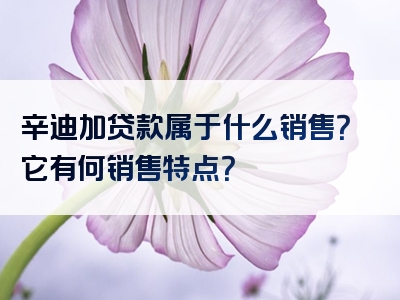 辛迪加贷款属于什么销售？它有何销售特点？