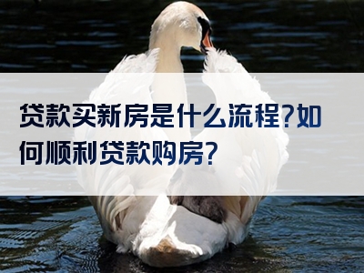 贷款买新房是什么流程？如何顺利贷款购房？