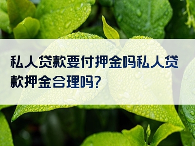 私人贷款要付押金吗私人贷款押金合理吗？