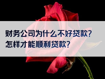 财务公司为什么不好贷款？怎样才能顺利贷款？