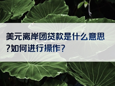 美元离岸团贷款是什么意思？如何进行操作？