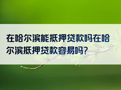 在哈尔滨能抵押贷款吗在哈尔滨抵押贷款容易吗？