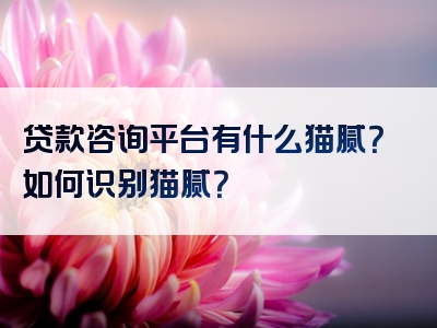 贷款咨询平台有什么猫腻？如何识别猫腻？