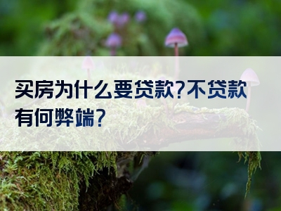 买房为什么要贷款？不贷款有何弊端？