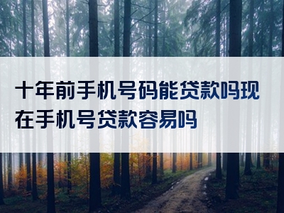 十年前手机号码能贷款吗现在手机号贷款容易吗