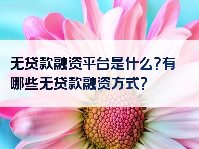 无贷款融资平台是什么？有哪些无贷款融资方式？