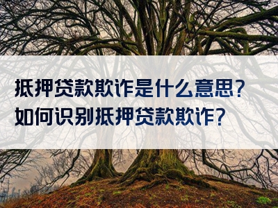 抵押贷款欺诈是什么意思？如何识别抵押贷款欺诈？