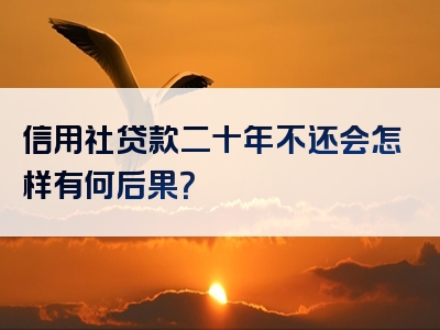 信用社贷款二十年不还会怎样有何后果？