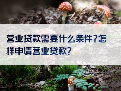 营业贷款需要什么条件？怎样申请营业贷款？