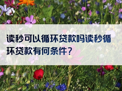 读秒可以循环贷款吗读秒循环贷款有何条件？