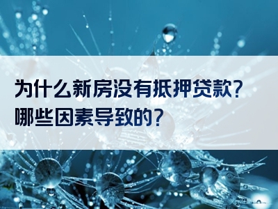 为什么新房没有抵押贷款？哪些因素导致的？