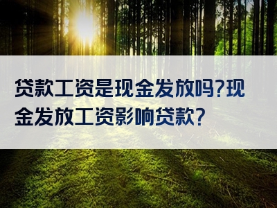 贷款工资是现金发放吗？现金发放工资影响贷款？