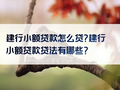 建行小额贷款怎么贷？建行小额贷款贷法有哪些？