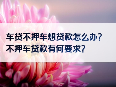 车贷不押车想贷款怎么办？不押车贷款有何要求？