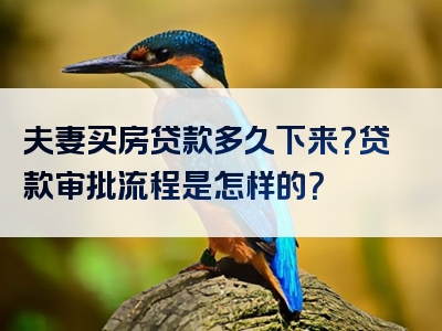 夫妻买房贷款多久下来？贷款审批流程是怎样的？