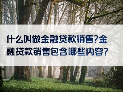 什么叫做金融贷款销售？金融贷款销售包含哪些内容？