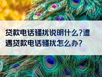 贷款电话骚扰说明什么？遭遇贷款电话骚扰怎么办？