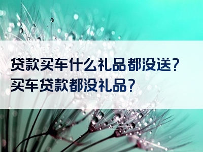 贷款买车什么礼品都没送？买车贷款都没礼品？