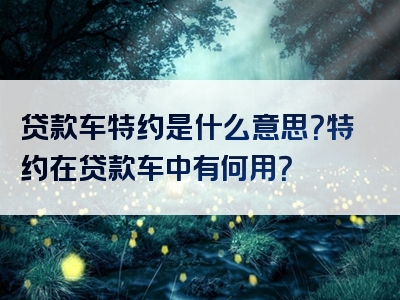 贷款车特约是什么意思？特约在贷款车中有何用？