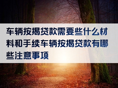 车辆按揭贷款需要些什么材料和手续车辆按揭贷款有哪些注意事项