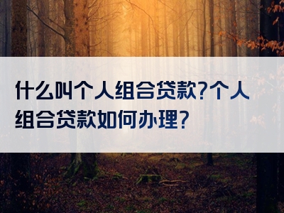 什么叫个人组合贷款？个人组合贷款如何办理？