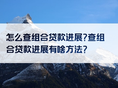 怎么查组合贷款进展？查组合贷款进展有啥方法？