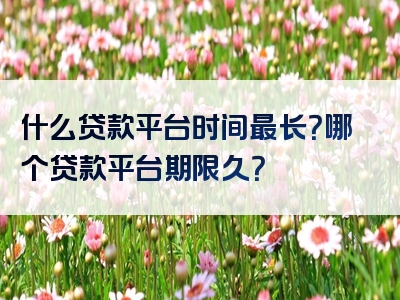 什么贷款平台时间最长？哪个贷款平台期限久？