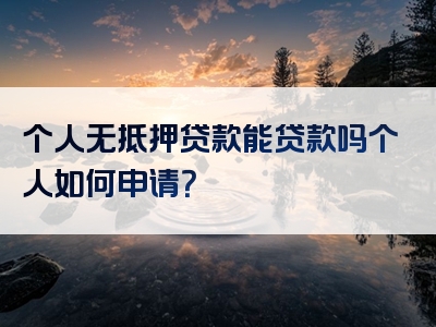 个人无抵押贷款能贷款吗个人如何申请？