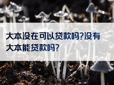 大本没在可以贷款吗？没有大本能贷款吗？