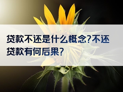 贷款不还是什么概念？不还贷款有何后果？