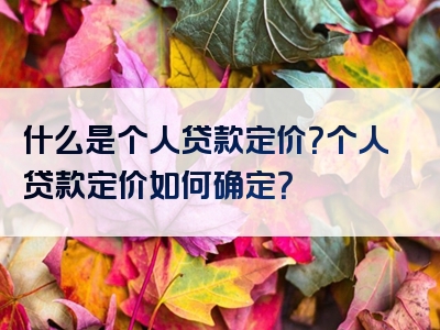 什么是个人贷款定价？个人贷款定价如何确定？